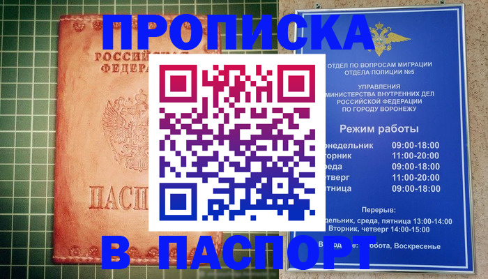 прописка гарантия в Октябрьском